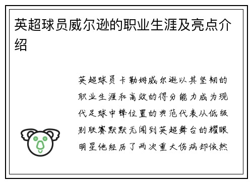 英超球员威尔逊的职业生涯及亮点介绍